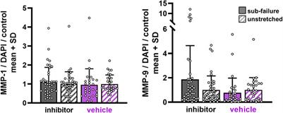 MMPs Regulate Neuronal Substance P After a Painful Equibiaxial Stretch in a Co-Culture Collagen Gel Model Simulating Injury of an Innervated Ligament